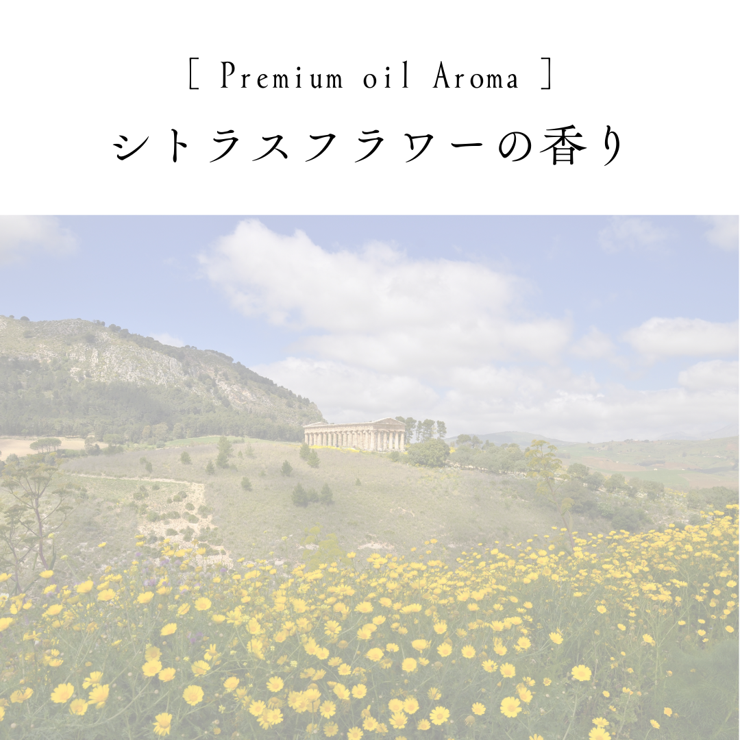 ITE Premium オイル