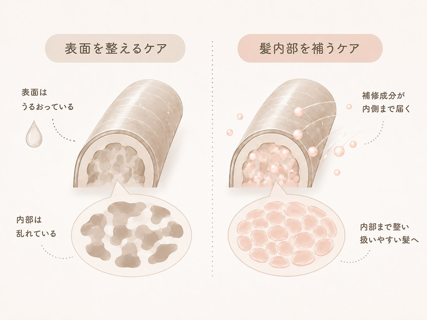 表面を整えるケアと髪内部を補うケアの比較